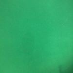 New grass