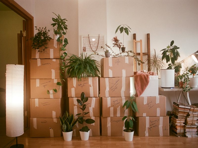 House and property clearance